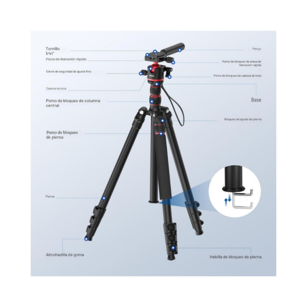 Trípode Neewer + Monopié 195cm